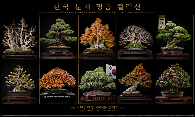 KakaoTalk_20260904_120251975.png